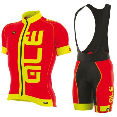 Equipación ALE 2017