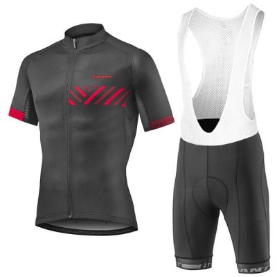 Equipación GIANT 2017