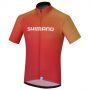 Equipación ciclismo SHIMANO 2019