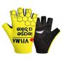 Par Guantes VISMA 2024