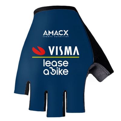 Par Guantes VISMA 2024