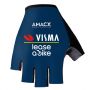 Par Guantes VISMA 2024