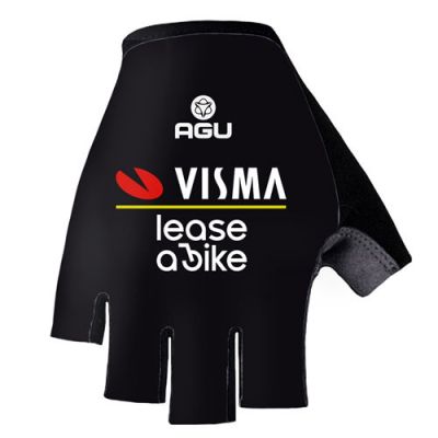 Par Guantes VISMA 2024
