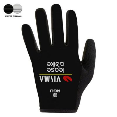 Par de Guantes VISMA 2024