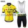 Equipación ciclismo corta VISMA 2025