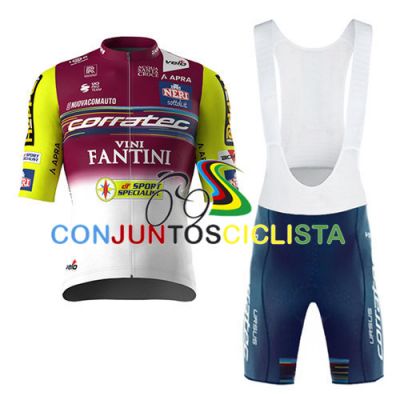 Equipación ciclismo corta VINI FANTINI 2025
