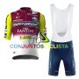 Equipación ciclismo corta VINI FANTINI 2025