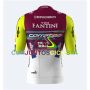 Equipación ciclismo corta VINI FANTINI 2025