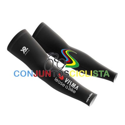 PAR Manguitos VISMA 2025