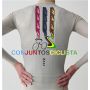 Equipación Ciclismo Larga MAAP 2025
