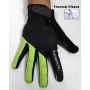 Guante Térmico GARNEAU 2015